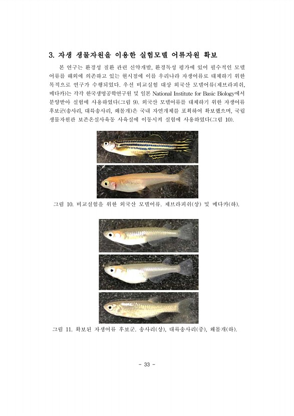 33페이지