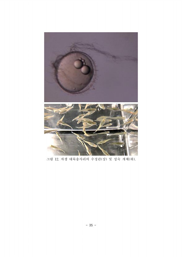 35페이지