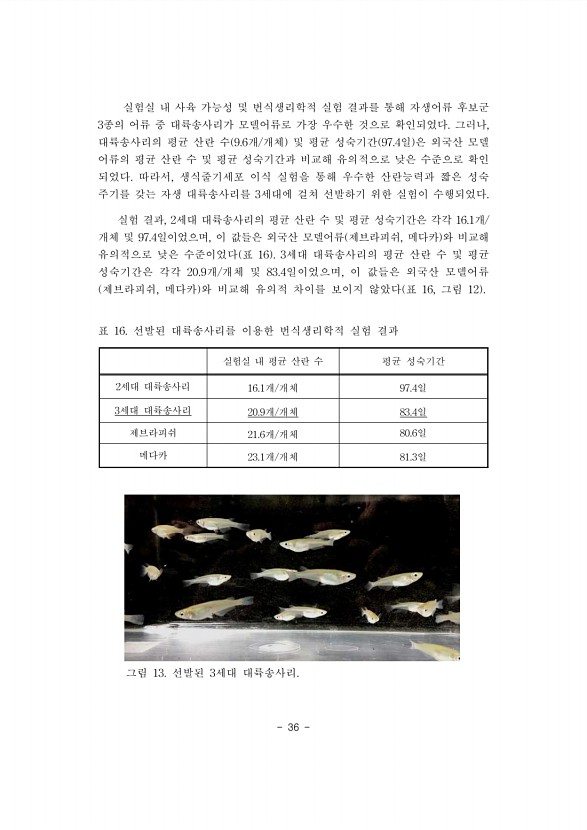 36페이지