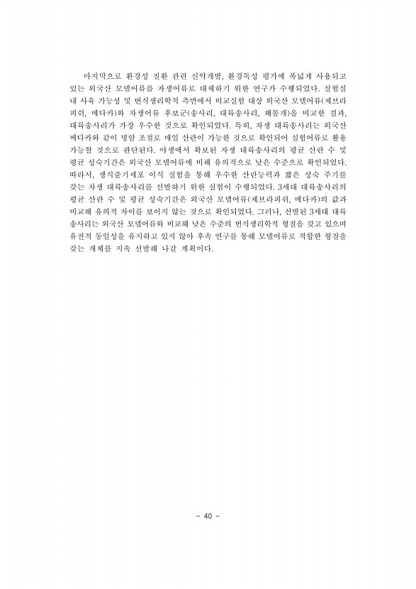 40페이지