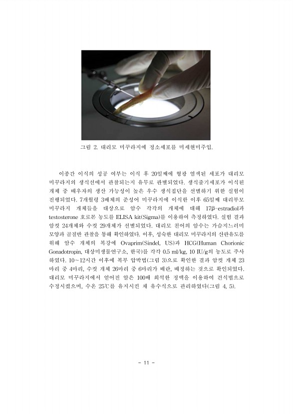 11페이지