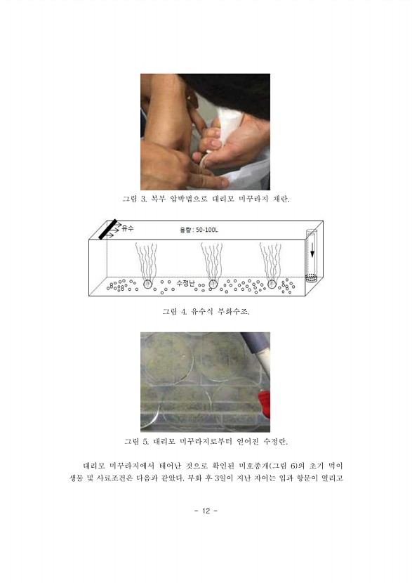 12페이지