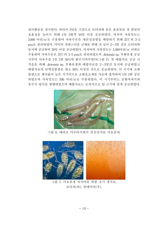 13페이지