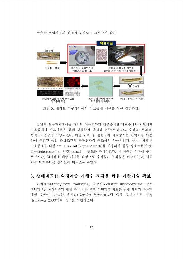 14페이지