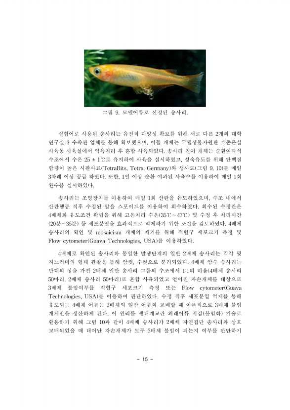 15페이지