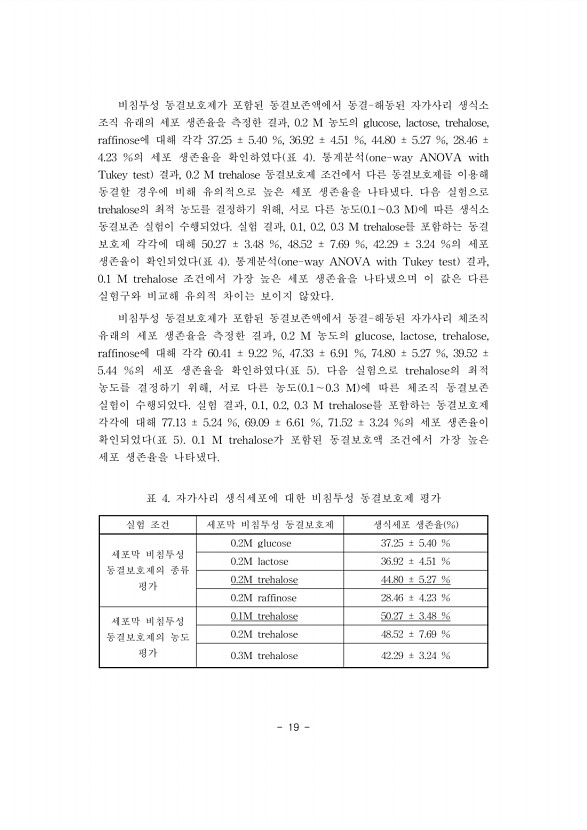 19페이지