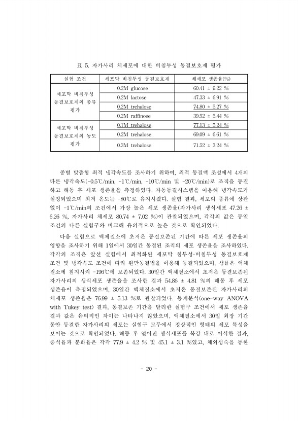 20페이지