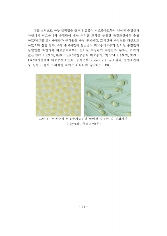 34페이지