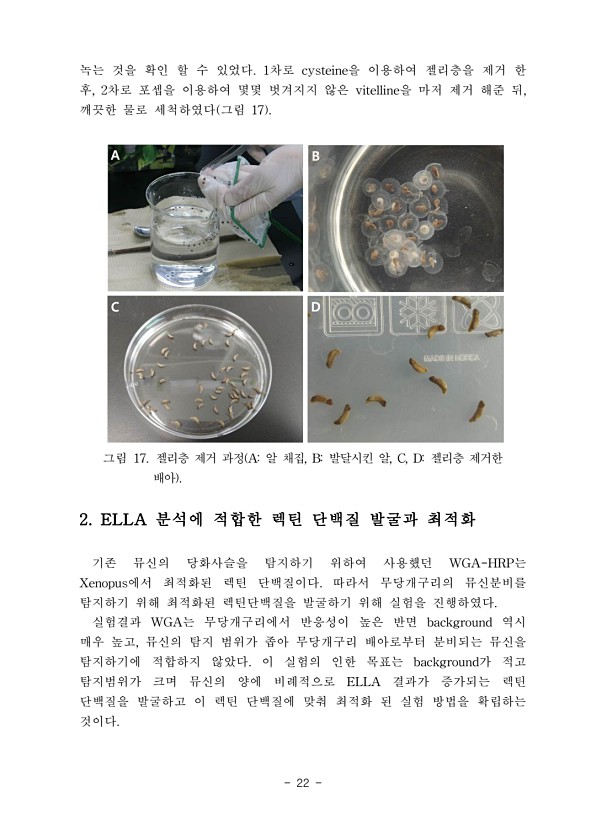22페이지