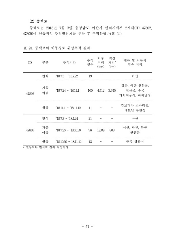 43페이지