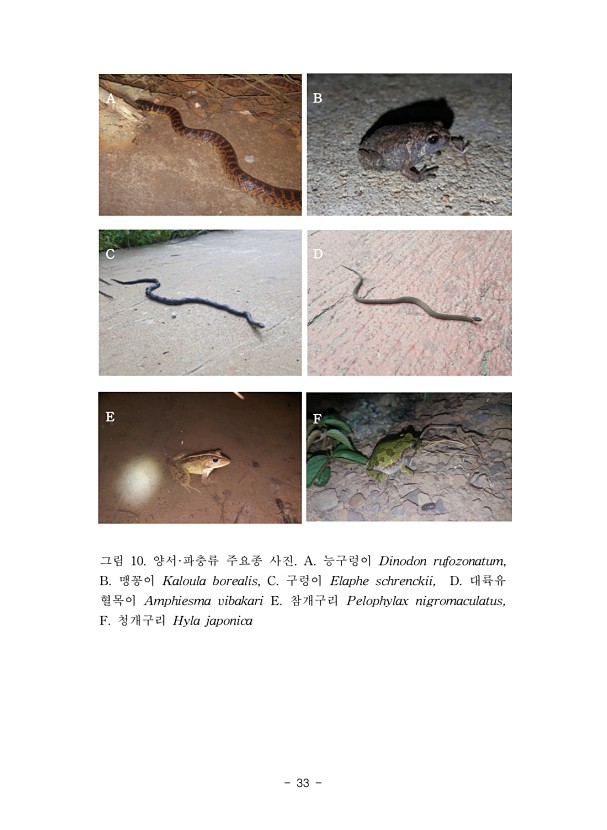 33페이지