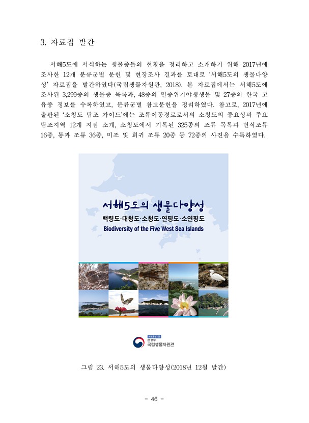 46페이지