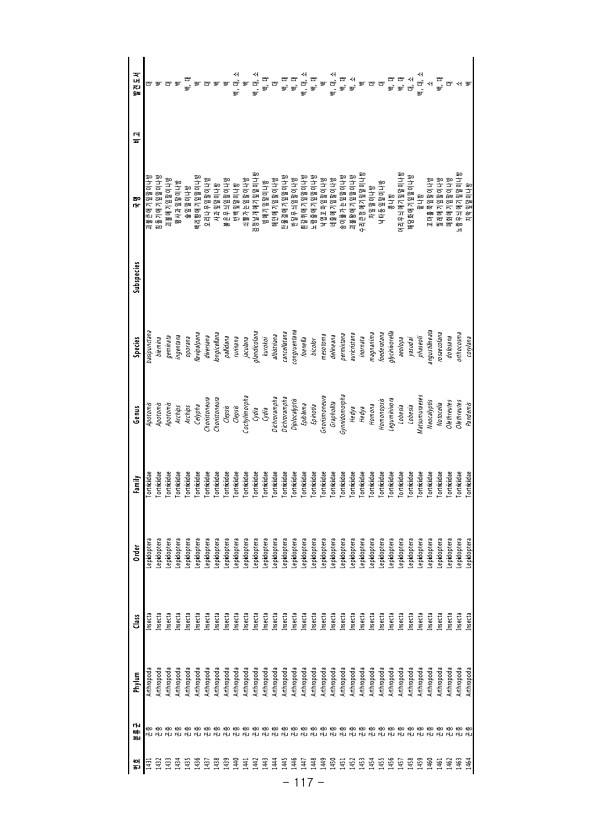 117페이지