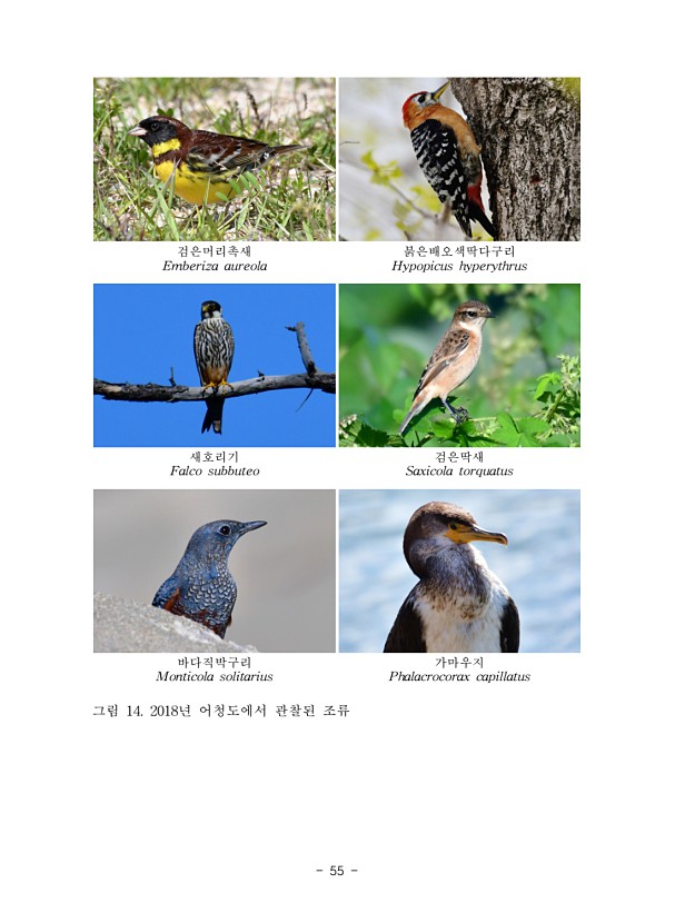 55페이지