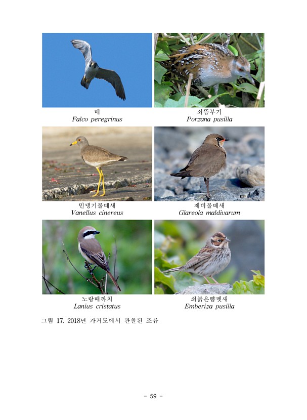 59페이지