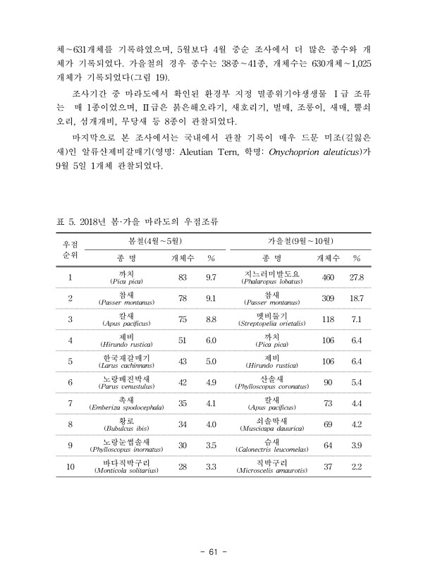 61페이지