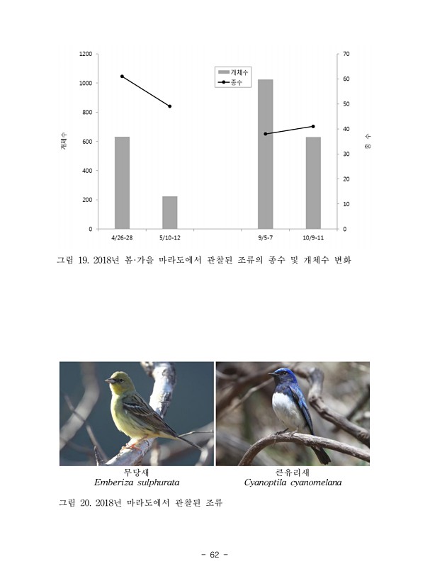 62페이지