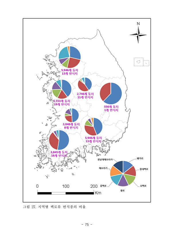 75페이지