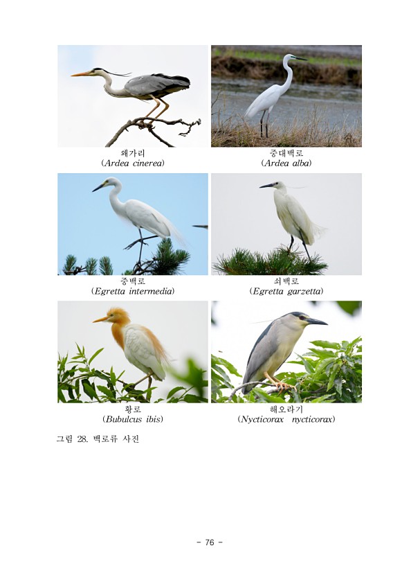 76페이지