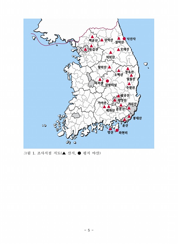 5페이지