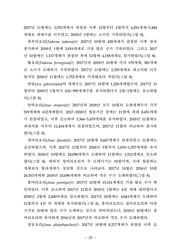 29페이지