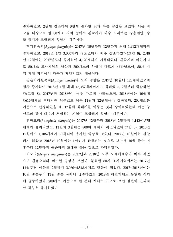31페이지