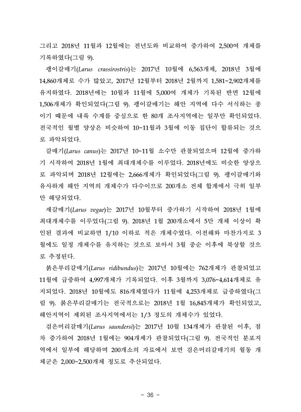 36페이지