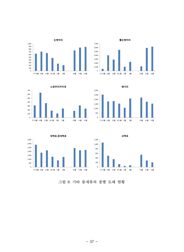 37페이지