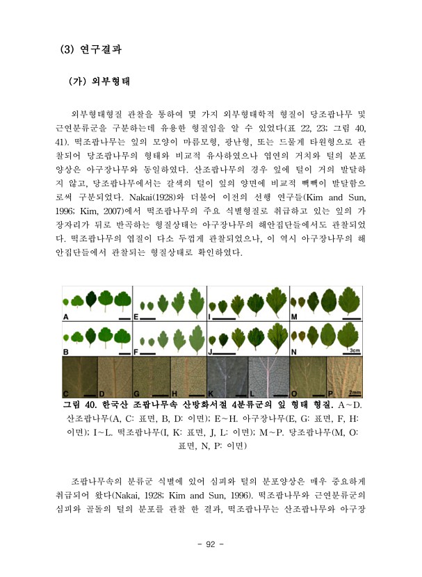95페이지