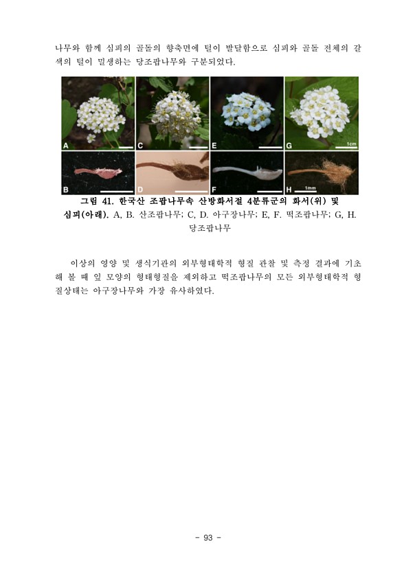 96페이지