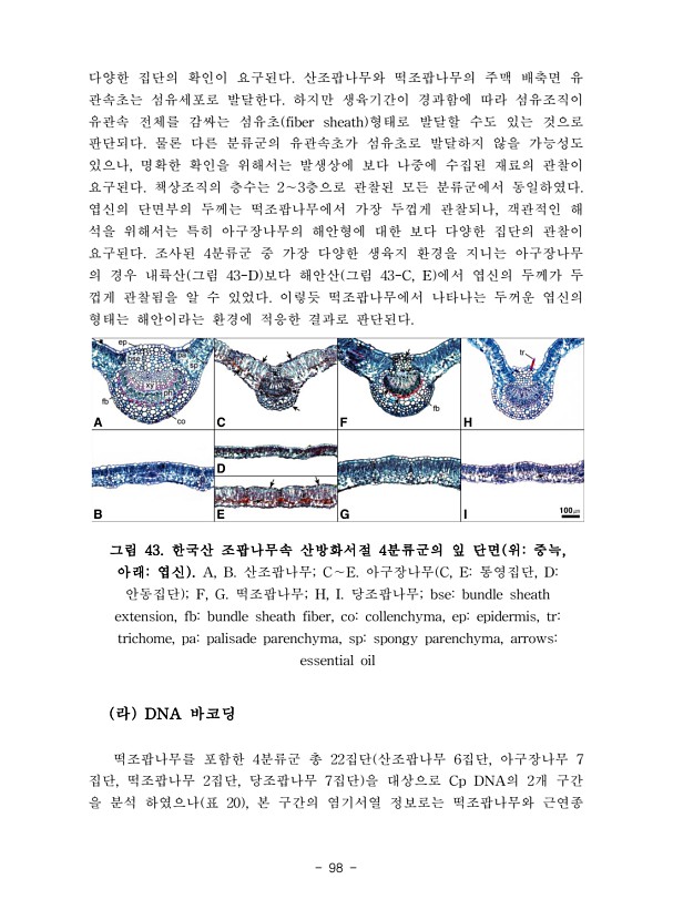 101페이지