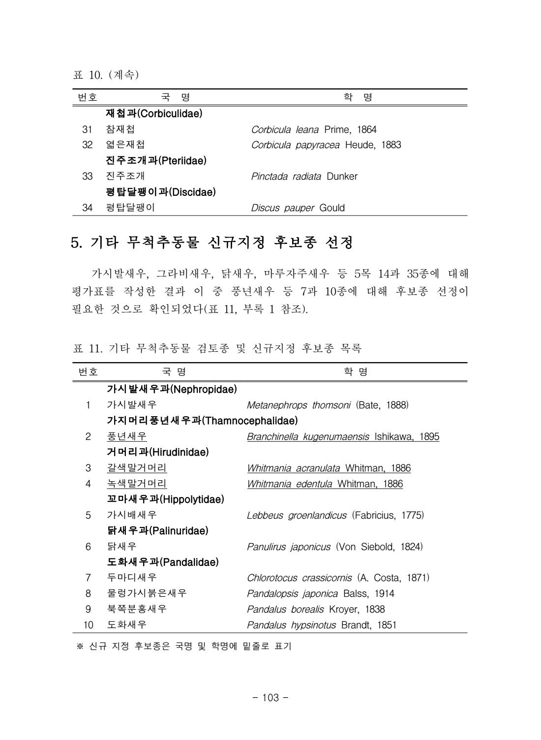 페이지