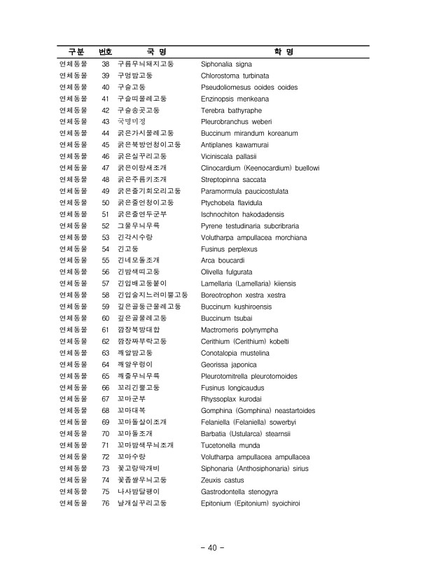40페이지