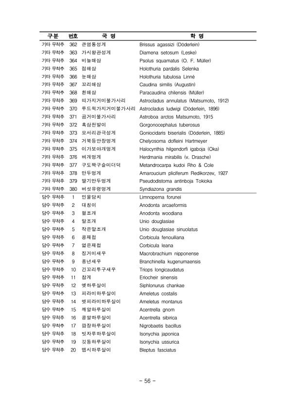 56페이지