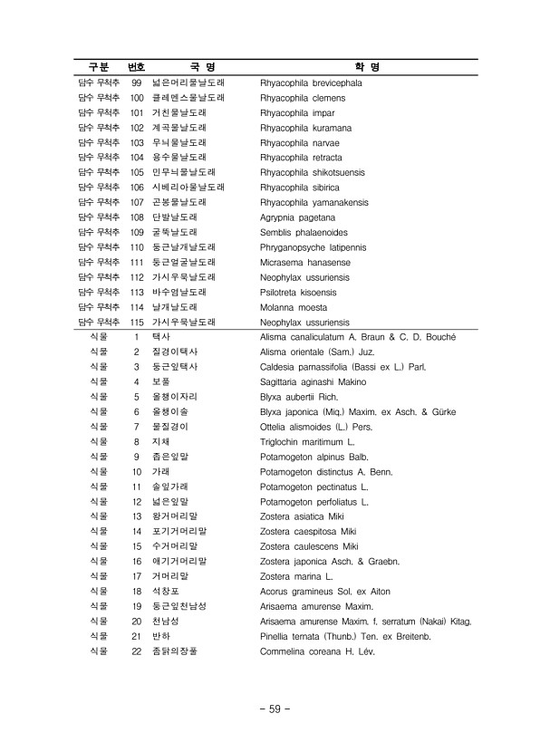 59페이지