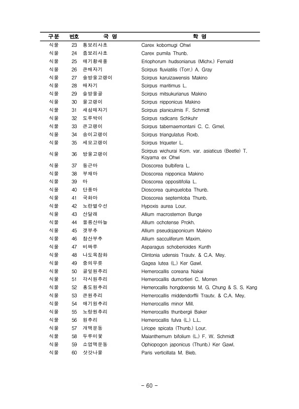 60페이지