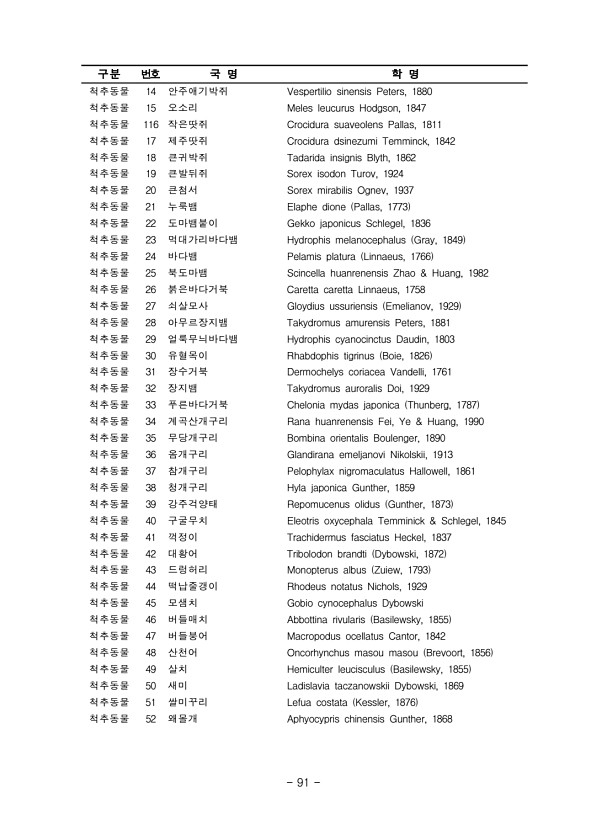 91페이지
