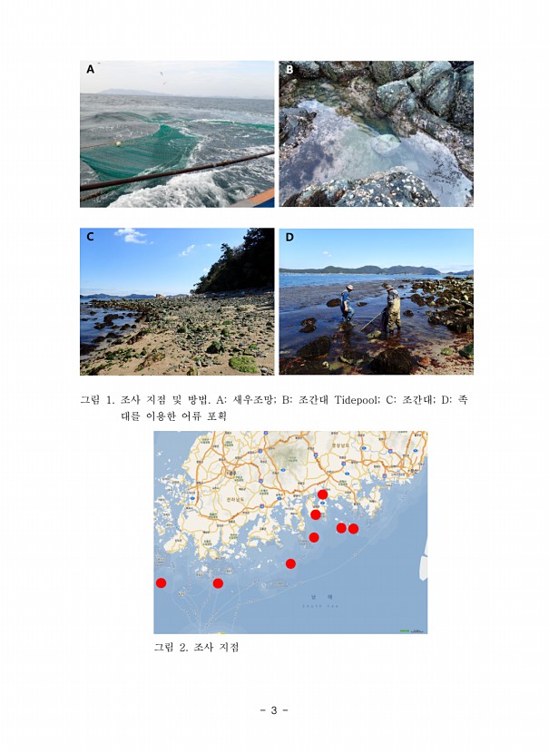 3페이지