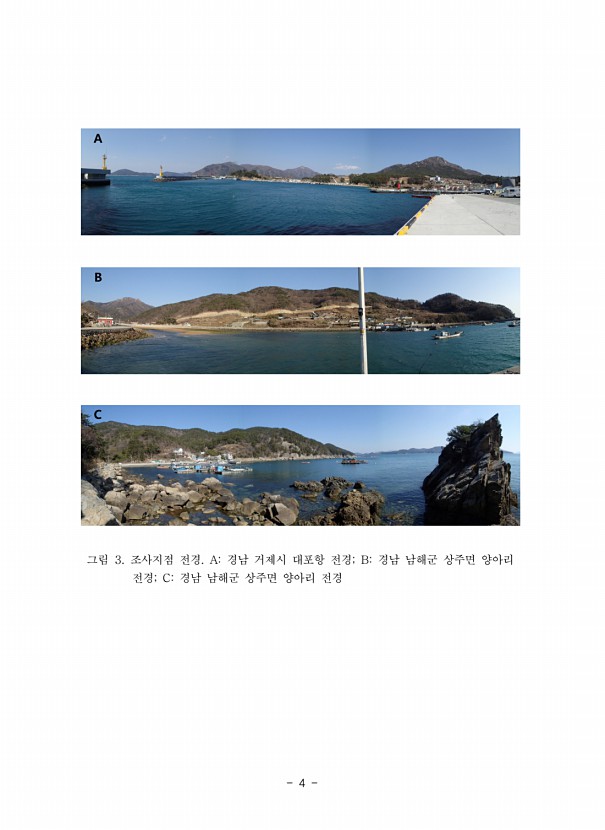 4페이지