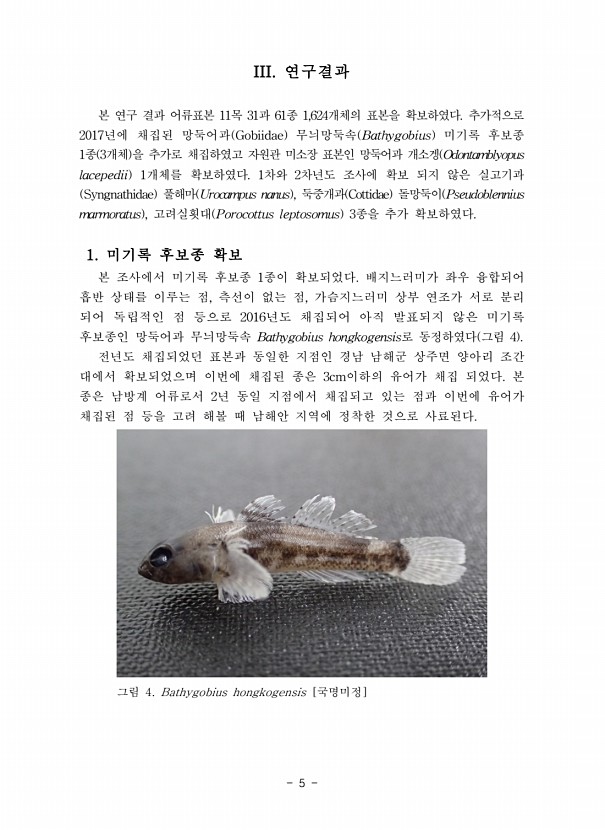 5페이지