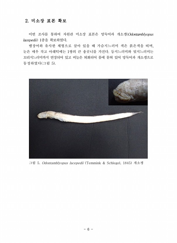 6페이지