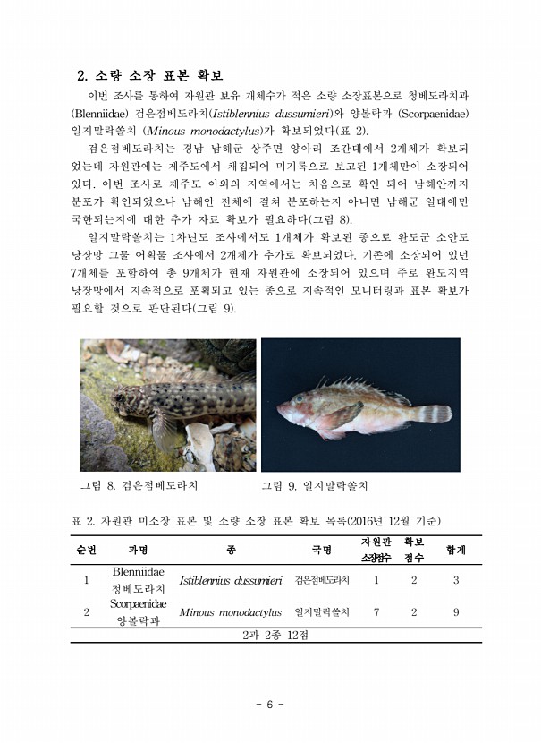6페이지