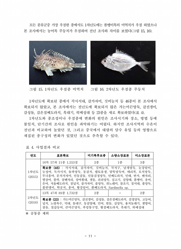 11페이지
