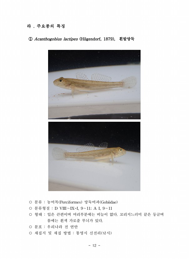 12페이지