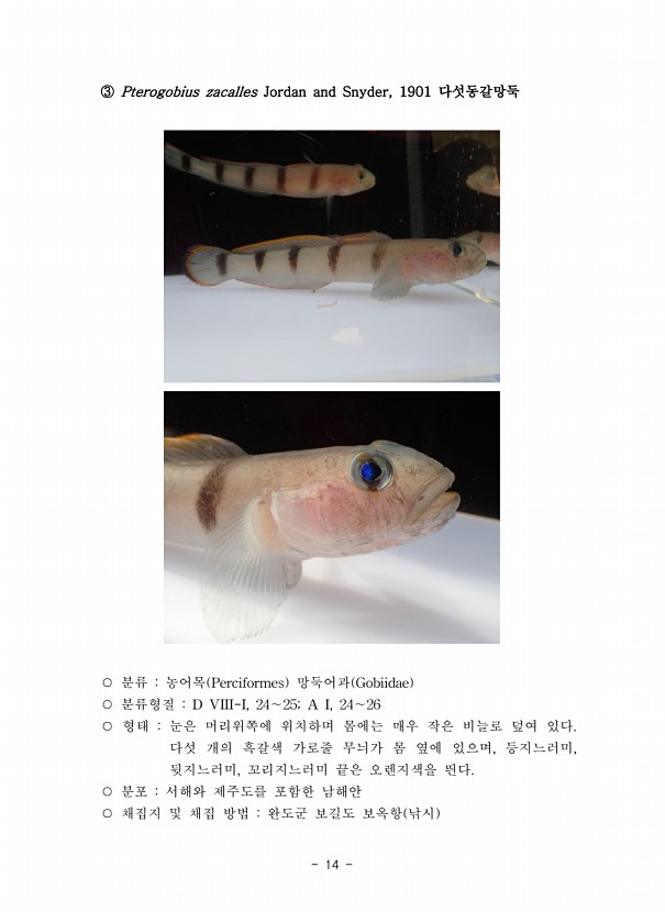 14페이지