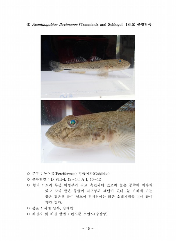 15페이지