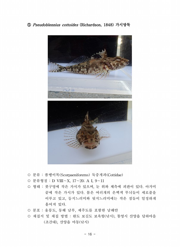 16페이지