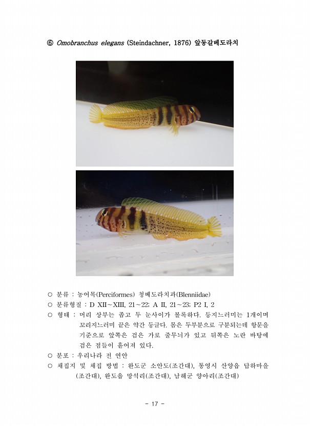 17페이지
