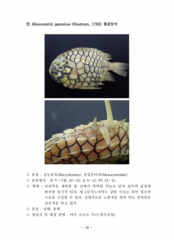 18페이지