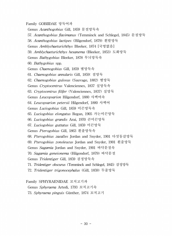 30페이지